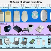 mouse100109.jpg