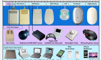 mouse100109.jpg