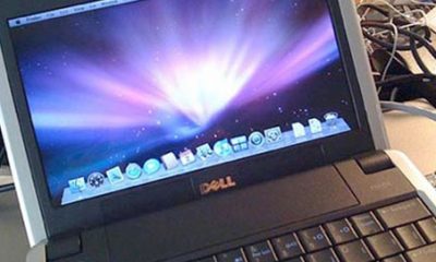 leopard-sur-dell-mini-9-macacoco.jpg