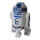 r2d27.jpg