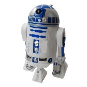 r2d27.jpg