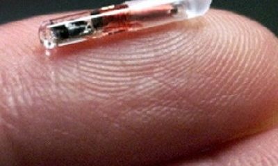 rfidchip.jpg