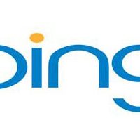 bingLogo_lg.jpg-500x400-2.jpg