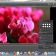dxo-optics-pro-5-macintosh.jpg