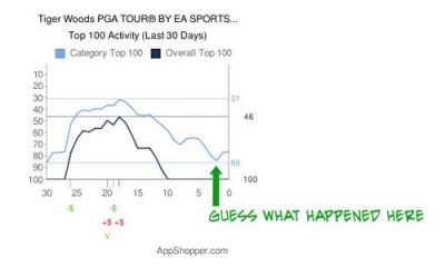 tiger_woods_sales2.jpg