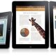 iwork_20100127-3.jpg