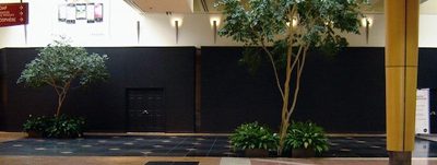 AppleStore_Quebec_0.jpg