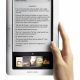 Barnes-Noble-nook-Wireless-e-book-reader-hand.jpg