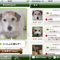 Bowtter1.jpg