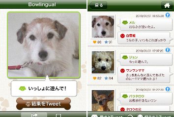 Bowtter1.jpg