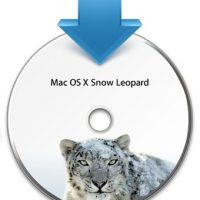 snow-leopard.jpg