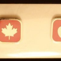 vancouver2010applepins.jpg