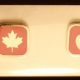 vancouver2010applepins.jpg