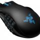 Naga-MMO-540x381.jpg