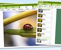 picnik_screenshots.jpg