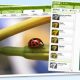 picnik_screenshots.jpg