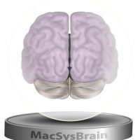 MacSysBrain512X512.jpg