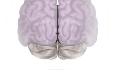 MacSysBrain512X512.jpg