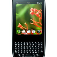 palm-pixi-3.jpg
