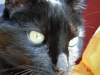 photo-24-4.jpg