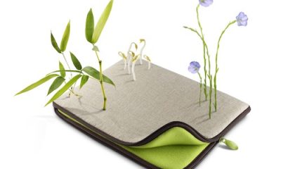vegetal_original.jpg