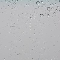 121_wedmay19_111949_2010.jpg