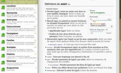 Antidote_Ardoise_pour_iPad_Definitions.jpg