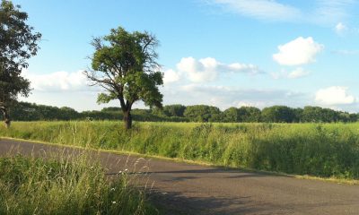 img0033fj.jpg