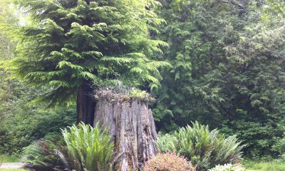 img_0007-2.jpg