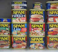 spam-2.jpg