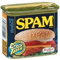 spam-3.jpg