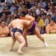 SumoNagFighting1.jpg