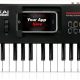 midi1.jpg