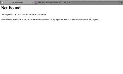 FirefoxEcranSnapz001-60.jpg
