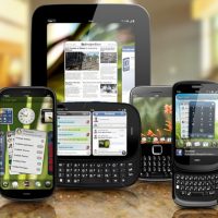 Palm-Mockup.jpg