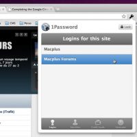 chrome1pass.jpg