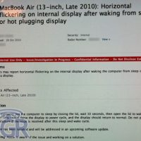 mba-bugs-2.jpg