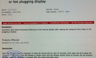 mba-bugs-2.jpg