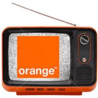 orange-7.jpg