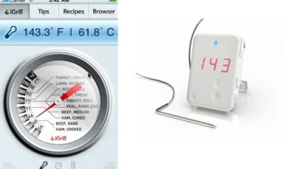 meat-therm.jpg