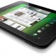 01-18-11palmtabscm-2.jpg