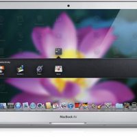 lion_springboard2_20101020.jpg