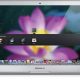 lion_springboard2_20101020.jpg