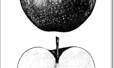 6a0120a5580826970c0147e33489ce970b-800wi.jpg