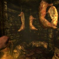 amnesia-2.jpg