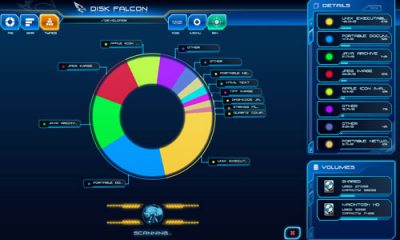 diskfalcon2.jpg