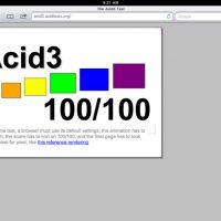 ipad2-acid3.jpg