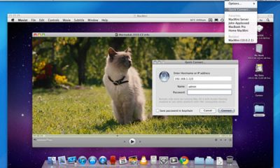 lightscreensharing.jpg