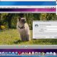 lightscreensharing.jpg