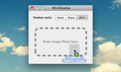 minishadow.jpg